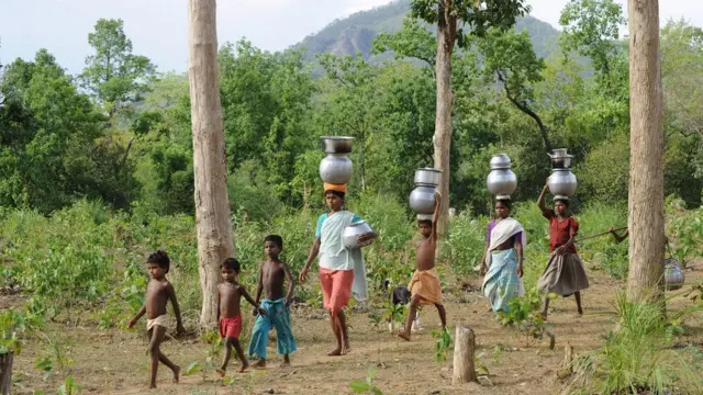 గొత్తికోయలు