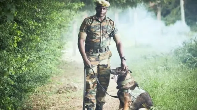 2400 யானைகள், 18 ஆயிரம் கிலோ தந்தம் - அதிர்ச்சி தரும் கடத்தல்