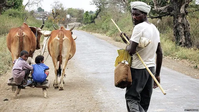 यवतमाळमधील शेतकरी