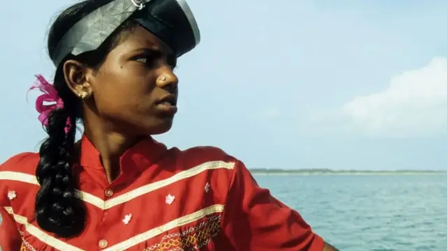 సముద్రపు నాచు