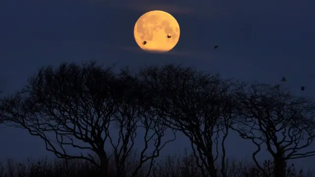 ночь перед снежным суперлунием