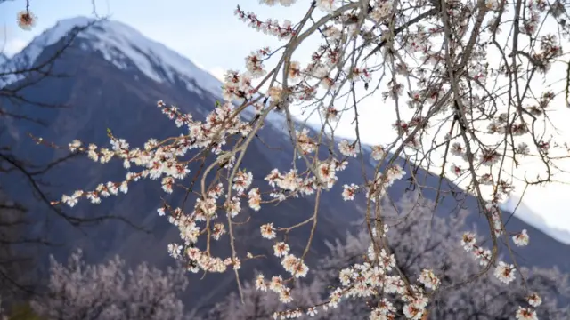 سکردو اور ہنزہ میں موسمِ بہار