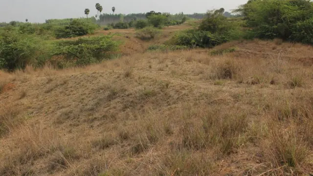 அதிரம்பாக்கம் தொல்லியல் மேடு