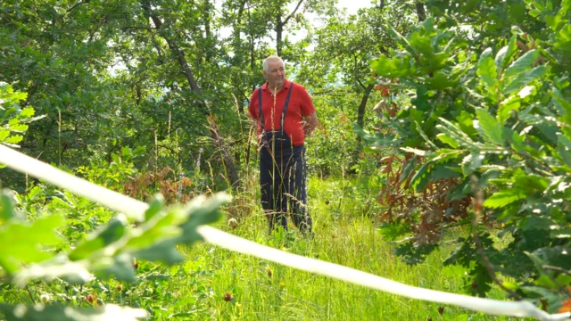 Imanje Dragana Vacića