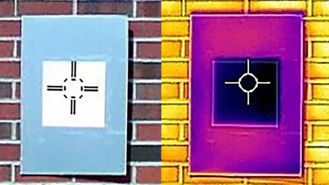 سفید اور کالے رنگ کی انفرا ریڈ تصویر