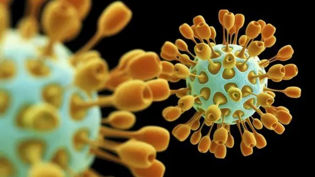 कोभिड भाइरस स्केच