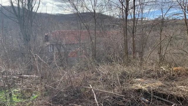 Perutina, voda, Srbija