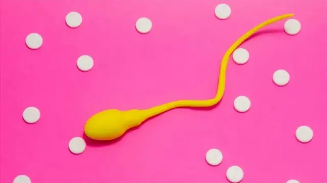 પ્રતીકાત્મક તસવીર