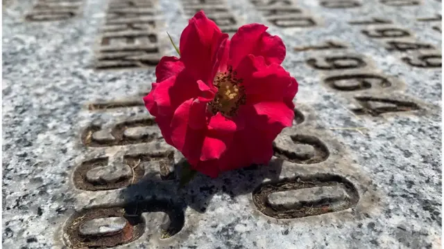 Цвет на усијаном мермеру