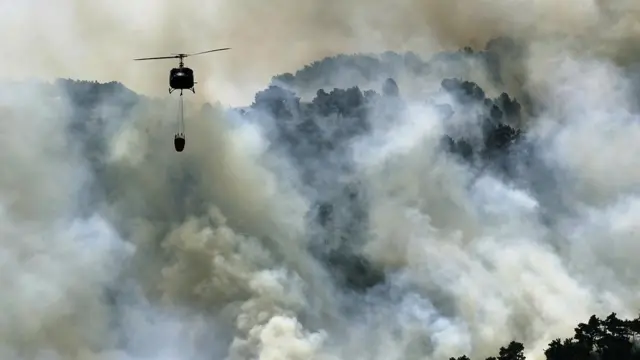 حرائق الغابات في لبنان