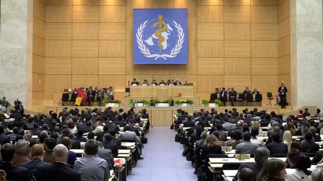 سازمان بهداشت جهانی یکی از سازمان‌های به نسبت کوچک با اختیاراتی بسیار محدود در ساختار حکمرانی جهانی است
