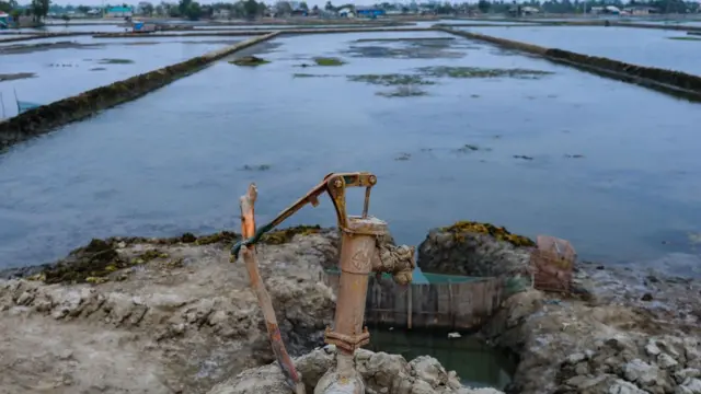 সাতক্ষীরায় জনগণ প্রকট লবণাক্ততার শিকার।