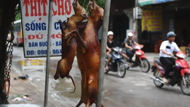 Thịt chó được coi là món ăn khoái khẩu của nhiều người Việt Nam