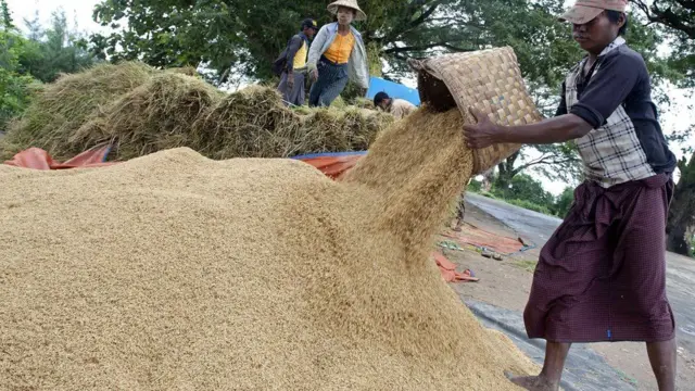 စာချုပ်ချုပ်ဆိုထားတဲ့ဆန်တန်ချိန် ၅သောင်းကို ချင်းရွှေဟော်နယ်စပ်ကနေ တင်ပို့မှာဖြစ်