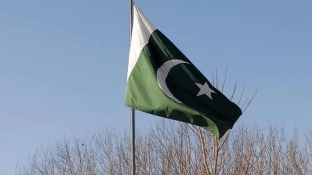 पाकिस्तान का झंडा