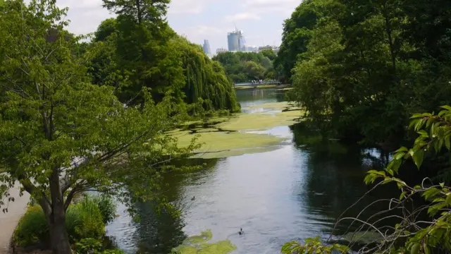 Công viên St James' Park