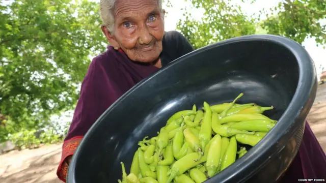 मस्तानम्मा आजी