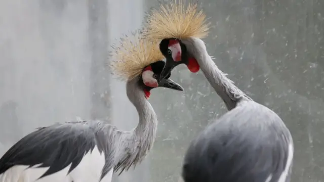 புதிய பாலியல் புரட்சிக்கு நாம் தயாராக இருக்கிறோமா?