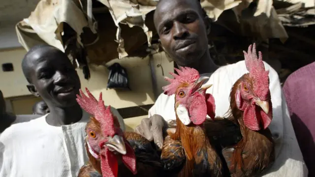 Man wey dey sell chicken