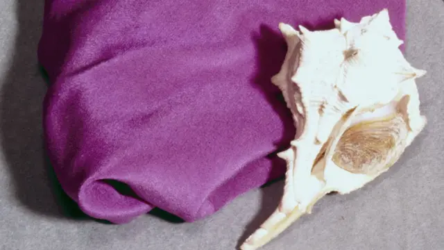 Mor renk ve salyangoz