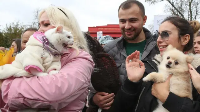 Кіт і собака