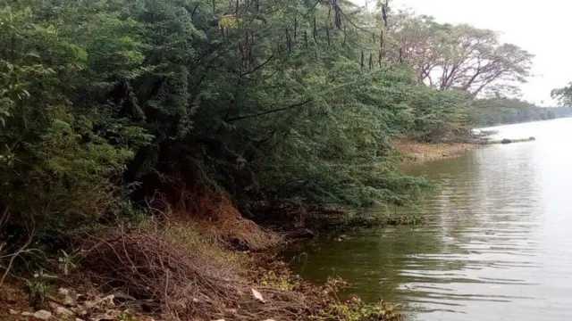 சூலூர் இடைத்தேர்தலில் வெல்லப்போவது யார்? கட்சிகள் பல பரிட்சை