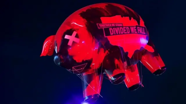 विरोध का प्रतीक सुअर