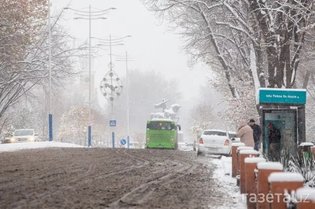 Тошкент кўчаси