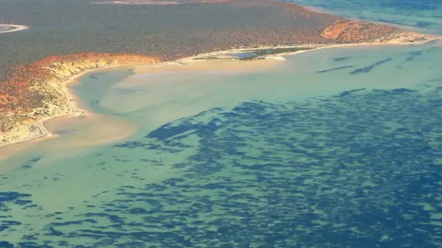 Vista aérea de la bahía Shark en el oeste de Australia.