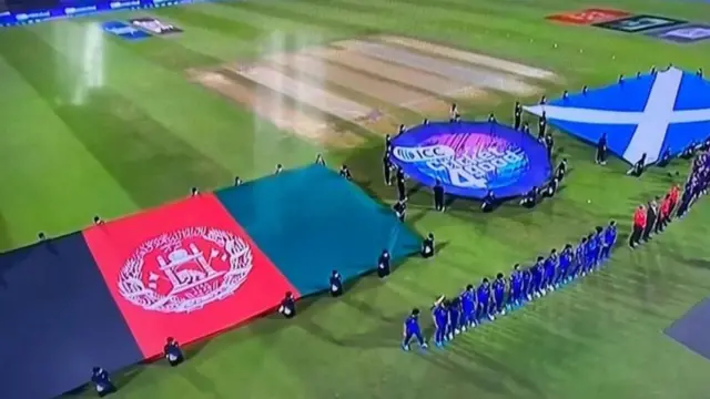 افغانستان کرېکټ