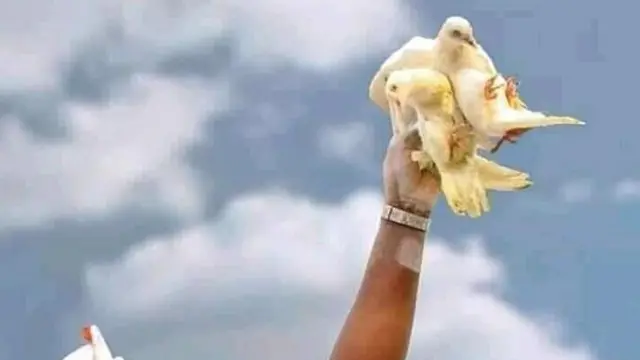 Ọwọ to gbe ẹyẹle soke