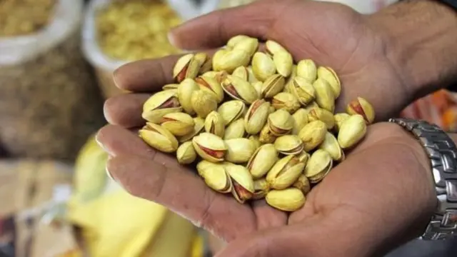 પિસ્તાની તસવીર