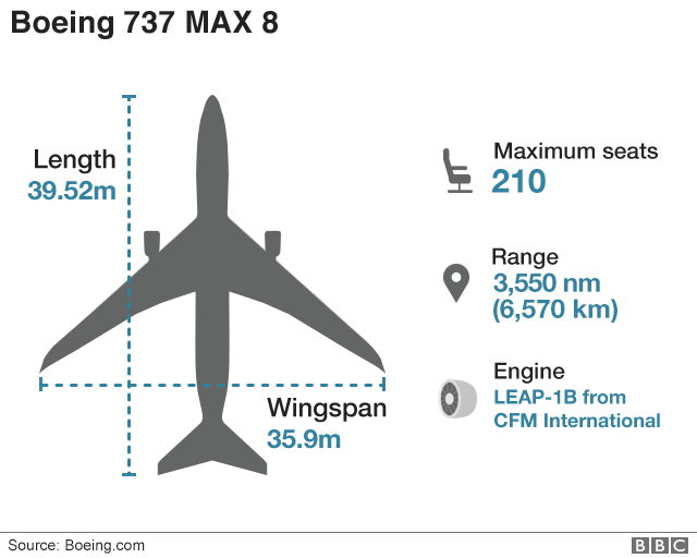 Graphic showing the Boeing 737 Max 8 plane