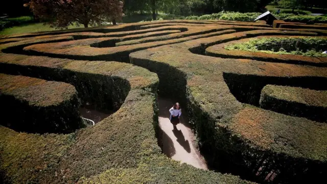 فتاة تتجول في متاهة من الأشجار