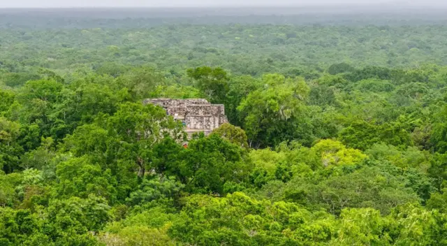 મધ્ય અમેરિકાનાં ગાઢ જંગલો માયાસંસ્કૃતિનાં રહસ્યો પોતાનામાં સંગ્રહી રાખ્યાં છે