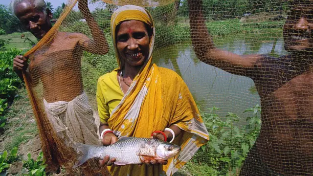 মাছ, গবাদি পশু, গাছের বিপরীতেও নেয়া যাবে ব্যাংক ঋণ