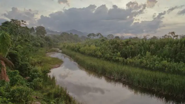 అమెజాన్