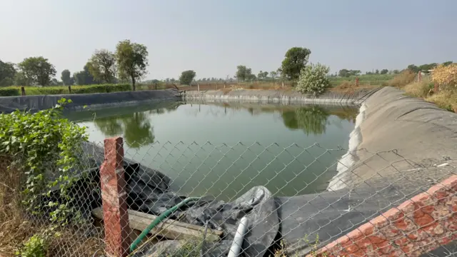 ધાનેરી ગામના નરસિંહભાઈ ચૌધરીએ 80 X 80 જગ્યામાં ખેત તલાવડી બનાવી, જેના થકી તેઓ ખેતી કરી રહ્યા છે