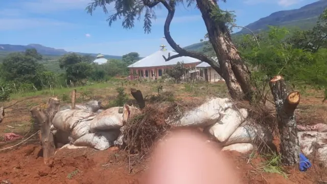 Dahannoo gadaamicha keessatti hidattootaan qotame