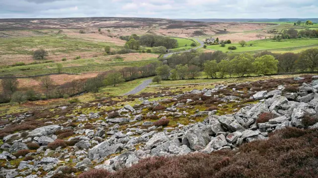 Páramos de North Yorkshire con vistas a un paisaje accidentado con brezos silvestres, rocas antiguas, árboles y campos, todo bajo un cielo nublado cerca del pueblo de Goathland, Yorkshire, Reino Unido