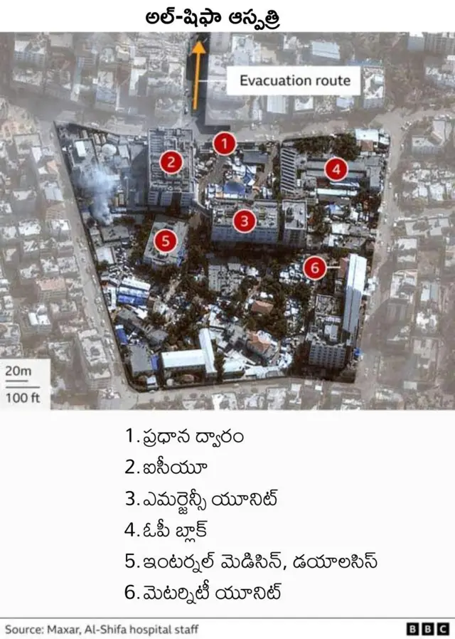 అల్ షిఫా ఆస్పత్రి