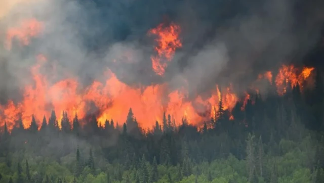 kebakaran hutan di Kanada