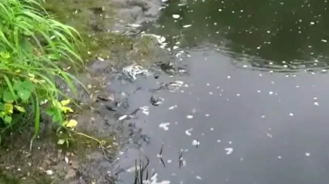 डम्पिंग ग्राउंड मुंबईकरांचे आरोग्य कसे बिघडवतात?