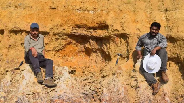 இந்தியாவில் கிடைத்த வாசுகி பாம்புதான் உலகிலேயே நீளமானதா? ஆய்வாளர்கள் சொல்வது என்ன?