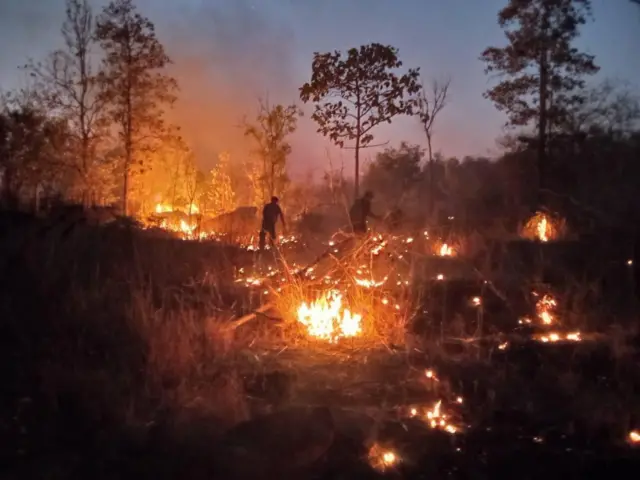 ภาพประกอบ