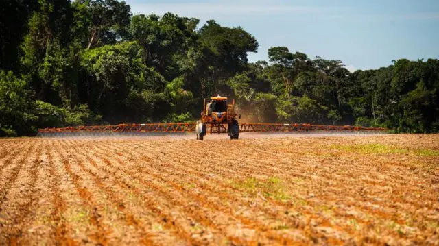 Máquina aplicando agrotóxico em plantação