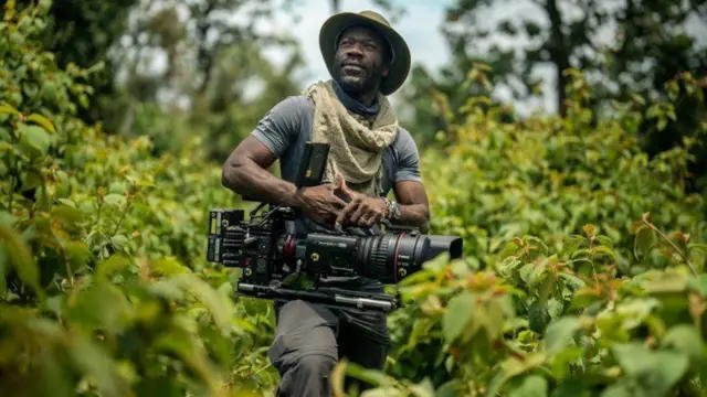 Wixii kala qabsaday muuqaal duubaha iyo gorillaha