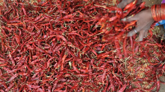 మిర్చి పంట, గుంటూరు, మిర్చి యార్డు, చంద్రబాబు, ఏపీ ప్రభుత్వం, కేంద్ర ప్రభుత్వం