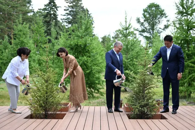 дарахт экиш