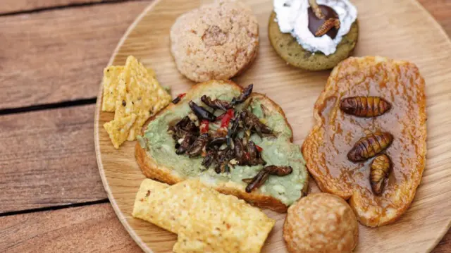 పురుగులు, కీటకాలు, మిడతలు, ఫుడ్